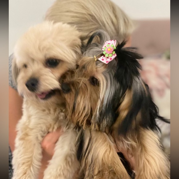 Meet your Posher, Sneaker Hub - Picture 2 of 2